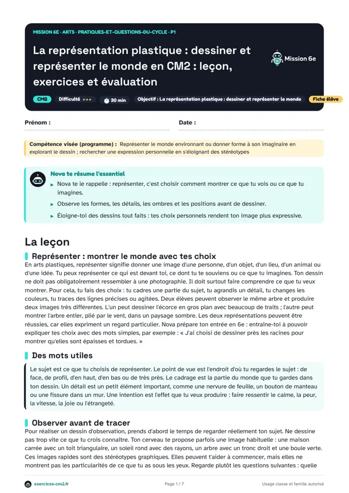 Aperçu du PDF à imprimer : La représentation plastique : dessiner et représenter le monde en CM2 : leçon, exercices et évaluation